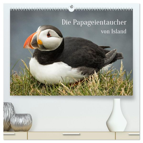 Die Papageientaucher von Island (hochwertiger Premium Wandkalender 2027 DIN A2 quer) Kunstdruck in Hochglanz