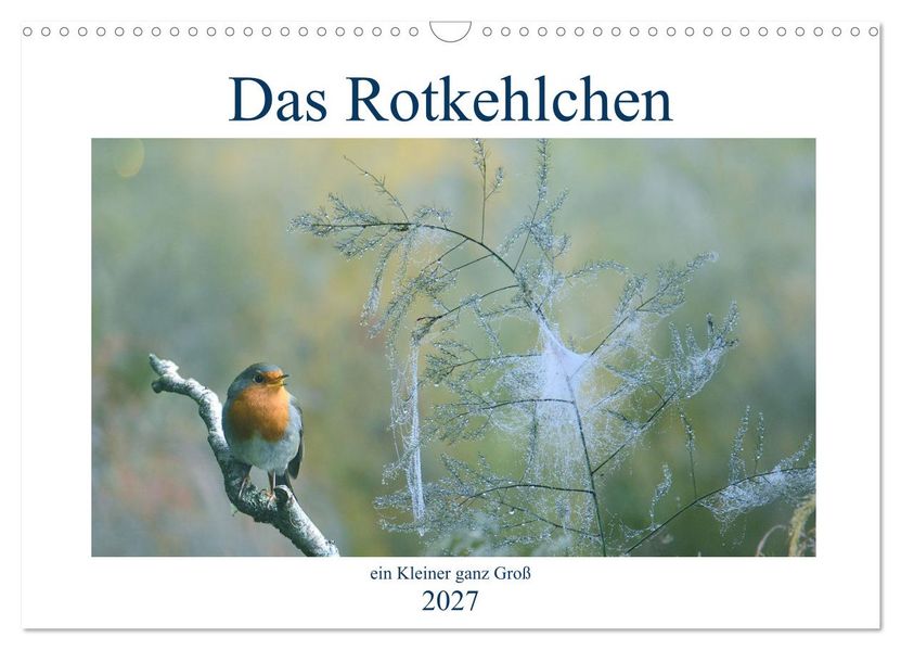Das Rotkehlchen ein Kleiner ganz Groß (Wandkalender 2027 DIN A3 quer) CALVENDO Monatskalender