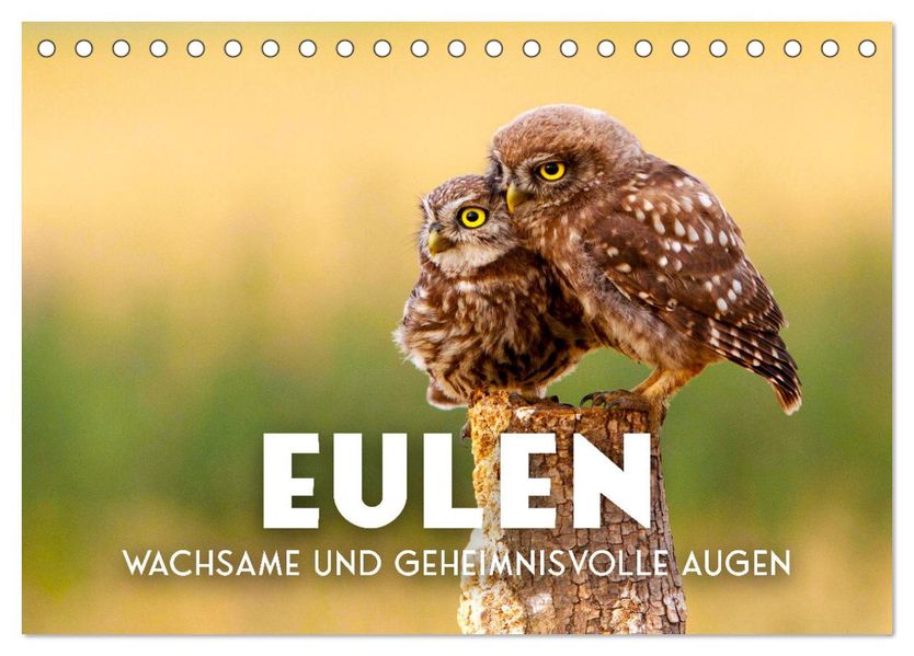 Eulen - Wachsame und geheimnisvolle Augen (Tischkalender 2027 DIN A5 quer) CALVENDO Monatskalender