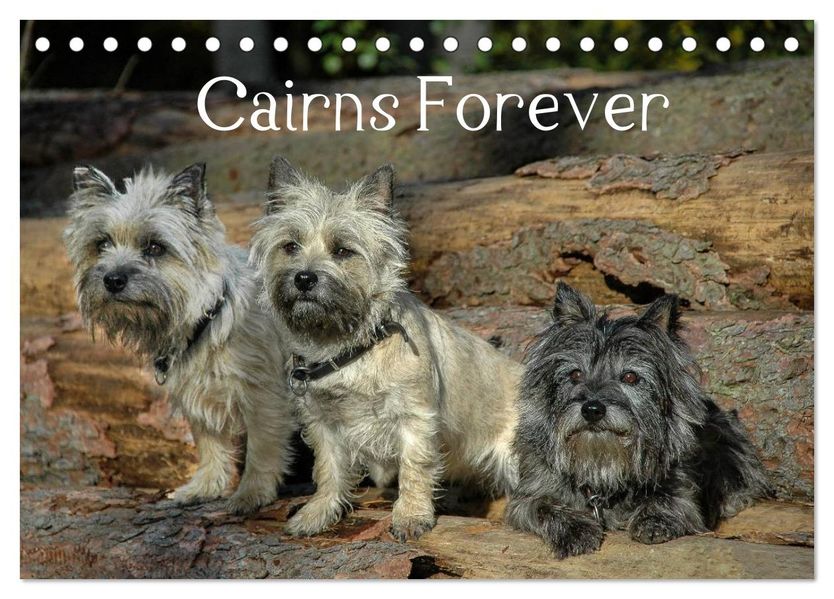 Cairns Forever (Tischkalender 2027 DIN A5 quer) CALVENDO Monatskalender