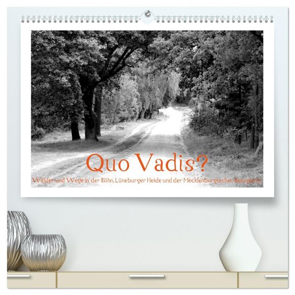 Quo Vadis? Wälder und Wege in der Röhn Lüneburger Heide und der Mecklenburgischen Seenplatte (hochwertiger Premium Wandkalender 2027 DIN A2 quer) Kunstdruck in Hochglanz