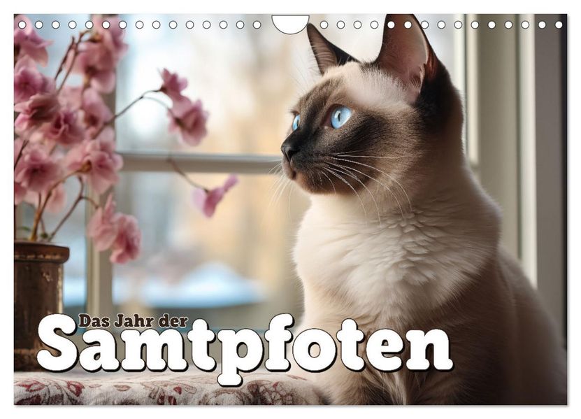 Das Jahr der Samtpfoten (Wandkalender 2027 DIN A4 quer) CALVENDO Monatskalender