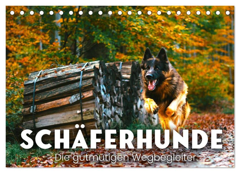 Schäferhunde - Die gutmütigen Wegbegleiter. (Tischkalender 2027 DIN A5 quer) CALVENDO Monatskalender