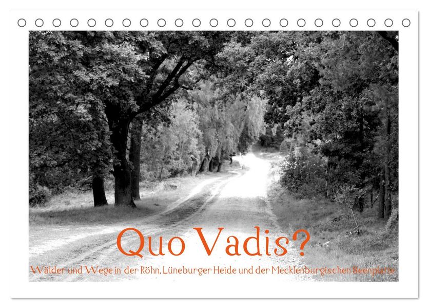 Quo Vadis? Wälder und Wege in der Röhn Lüneburger Heide und der Mecklenburgischen Seenplatte (Tischkalender 2027 DIN A5 quer) CALVENDO Monatskalender