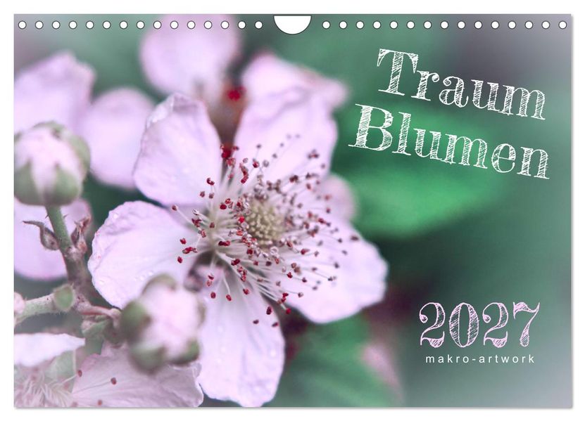 Traum Blumen (Wandkalender 2027 DIN A4 quer) CALVENDO Monatskalender