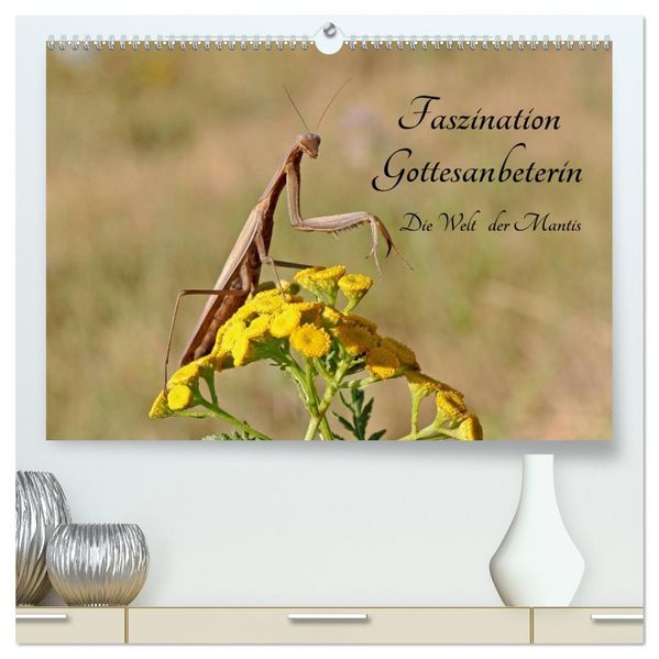 Faszination Gottesanbeterin - Die Welt der Mantis (hochwertiger Premium Wandkalender 2027 DIN A2 quer) Kunstdruck in Hochglanz