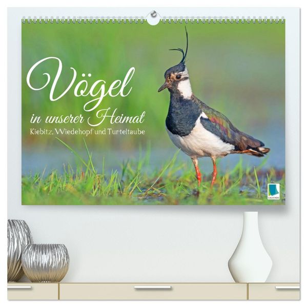 Vögel in unserer Heimat: Kiebitz Wiedehopf und Turteltaube (hochwertiger Premium Wandkalender 2027 DIN A2 quer) Kunstdruck in Hochglanz