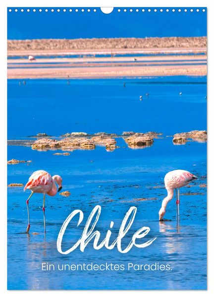 Chile - Ein unentdecktes Paradies. (Wandkalender 2027 DIN A3 hoch) CALVENDO Monatskalender
