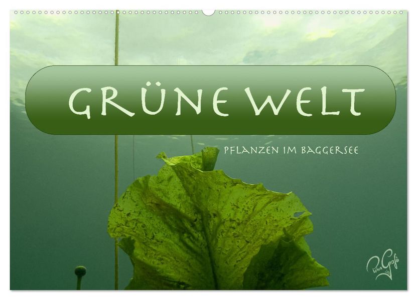 Baggersee - die grüne Welt (Wandkalender 2027 DIN A2 quer) CALVENDO Monatskalender