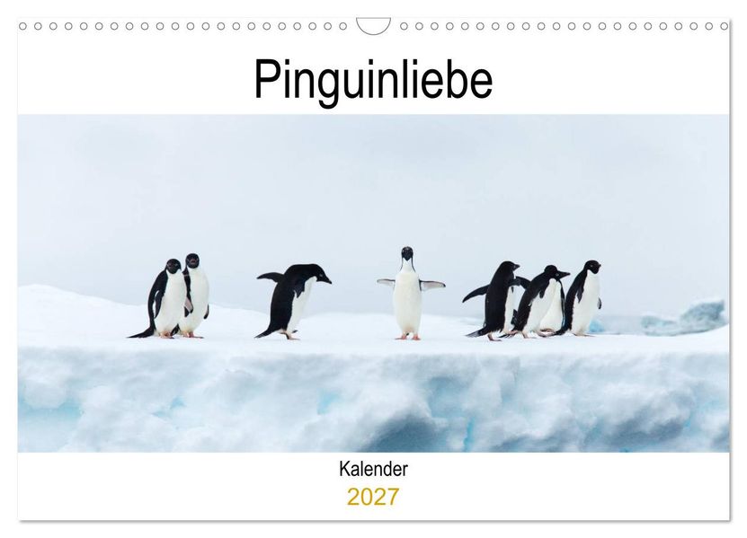 Pinguinliebe (Wandkalender 2027 DIN A3 quer) CALVENDO Monatskalender