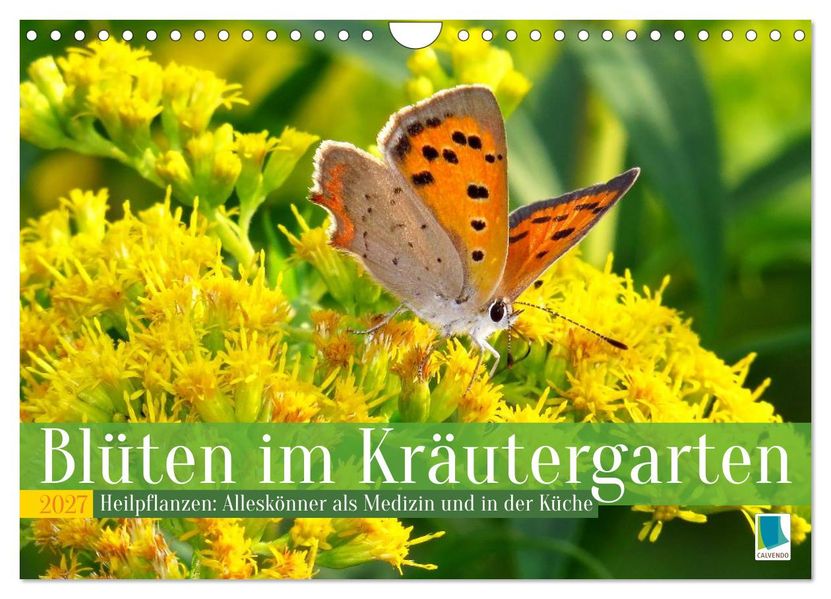 Blüten im Kräutergarten (Wandkalender 2027 DIN A4 quer) CALVENDO Monatskalender