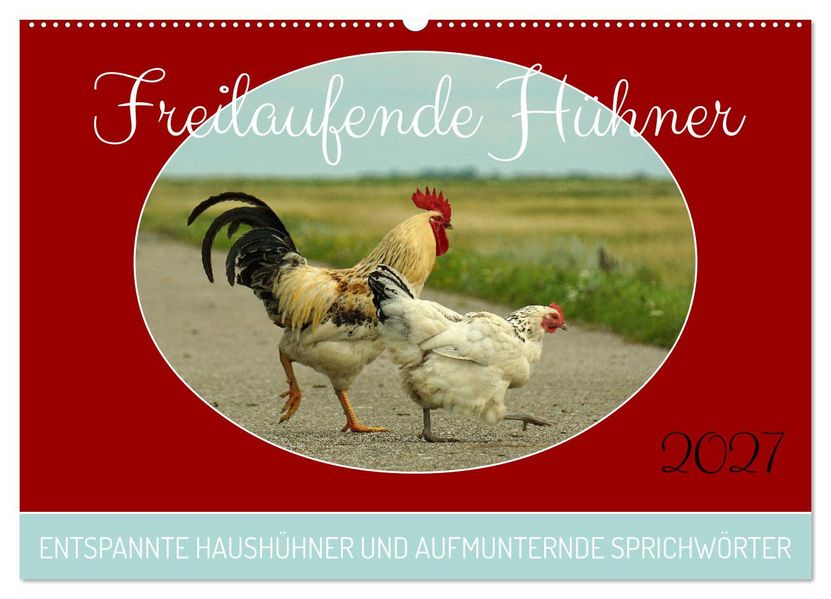 Freilaufende Hühner (Wandkalender 2027 DIN A2 quer) CALVENDO Monatskalender