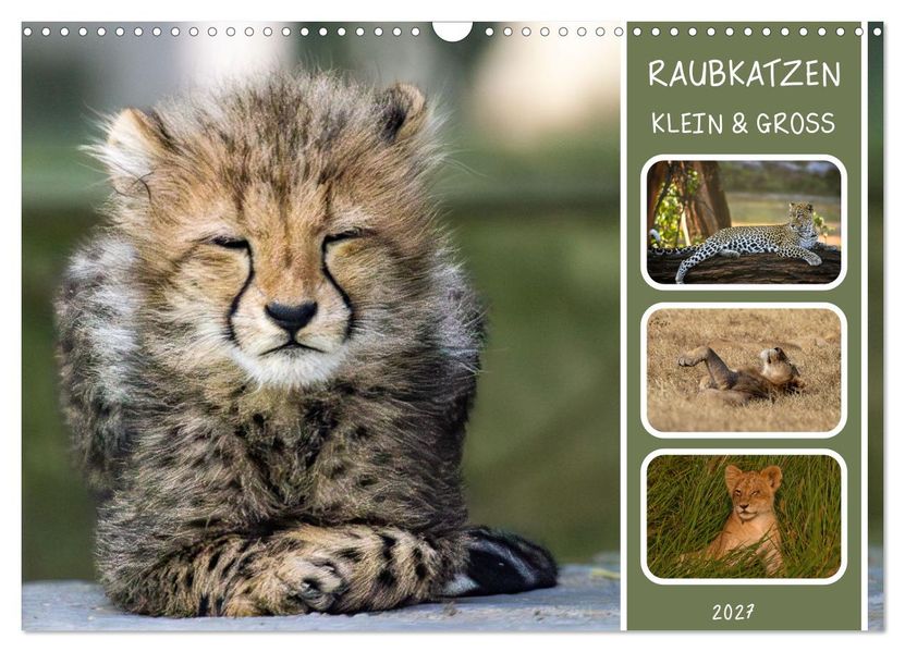 Raubkatzen - groß & klein (Wandkalender 2027 DIN A3 quer) CALVENDO Monatskalender
