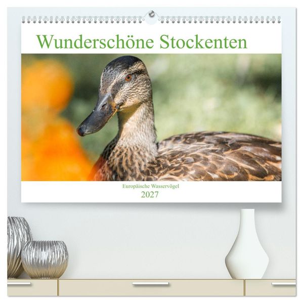 Wunderschöne Stockenten - Europäische Wasservögel (hochwertiger Premium Wandkalender 2027 DIN A2 quer) Kunstdruck in Hochglanz