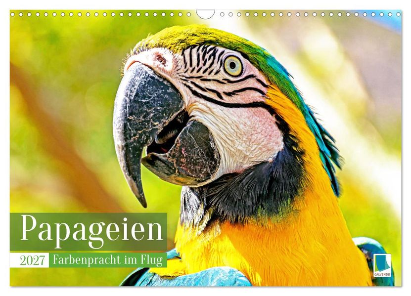 Papageien: Farbenpracht im Flug (Wandkalender 2027 DIN A3 quer) CALVENDO Monatskalender