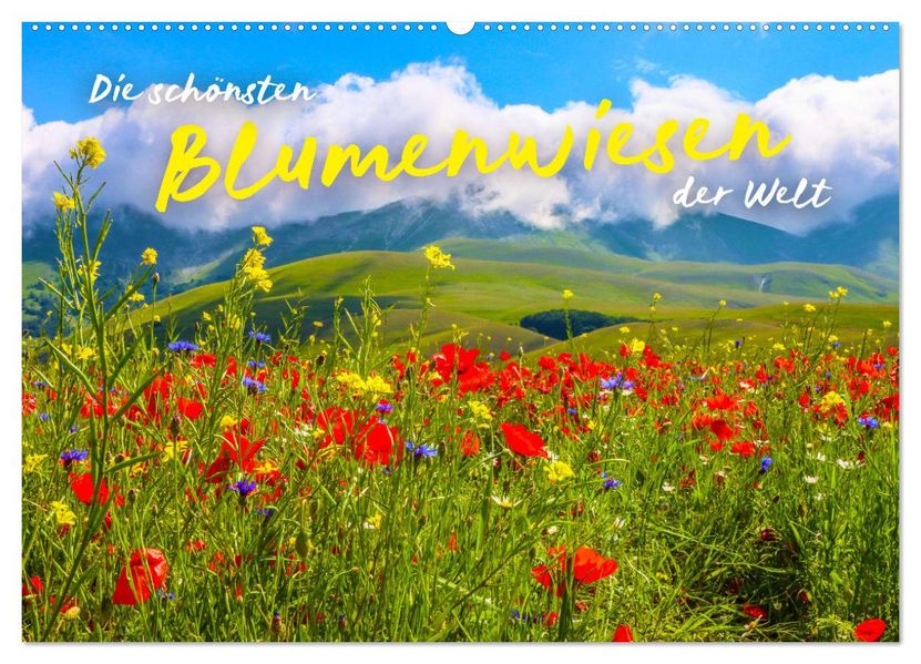 Die schönsten Blumenwiesen der Welt (Wandkalender 2027 DIN A2 quer) CALVENDO Monatskalender