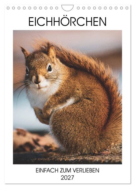 Eichhörnchen - Einfach zum Verlieben (Wandkalender 2027 DIN A4 hoch) CALVENDO Monatskalender