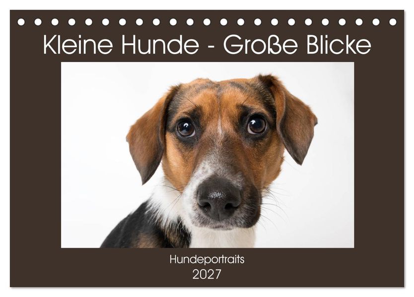 Kleine Hunde - Große Blicke (Tischkalender 2027 DIN A5 quer) CALVENDO Monatskalender