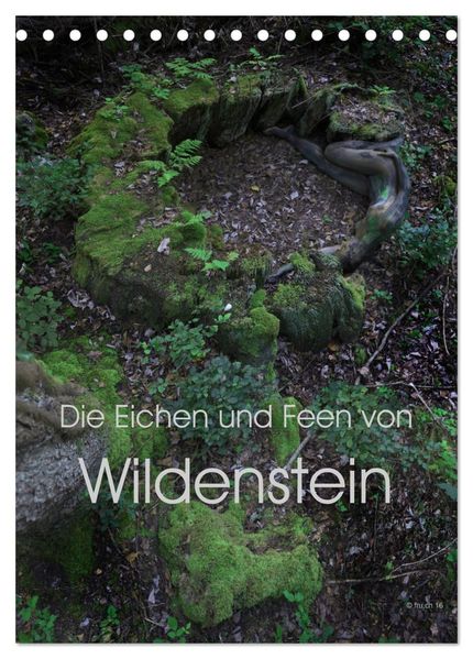 Die Eichen und Feen von Wildenstein (Tischkalender 2027 DIN A5 hoch) CALVENDO Monatskalender