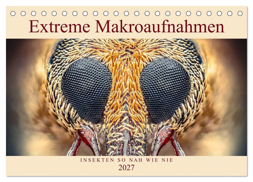 Extreme Makroaufnahmen - Insekten so nah wie nie (Tischkalender 2027 DIN A5 quer) CALVENDO Monatskalender