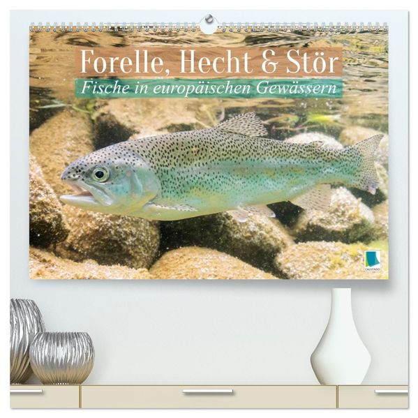 Forelle Hecht und Stör: Fische in europäischen Gewässern (hochwertiger Premium Wandkalender 2027 DIN A2 quer) Kunstdruck in Hochglanz