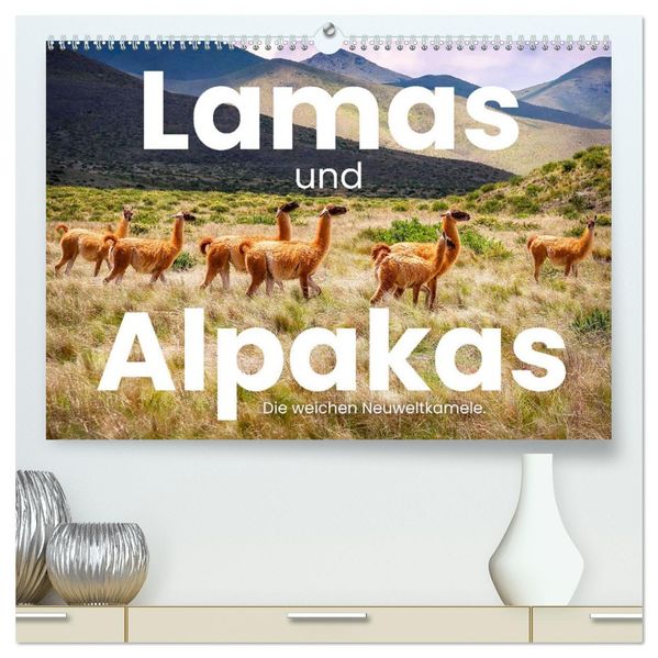 Lamas und Alpakas - Die weichen Neuweltkamele. (hochwertiger Premium Wandkalender 2027 DIN A2 quer) Kunstdruck in Hochglanz