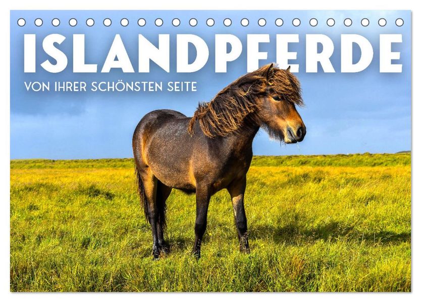 Islandpferde - Von ihrer schönsten Seite (Tischkalender 2027 DIN A5 quer) CALVENDO Monatskalender