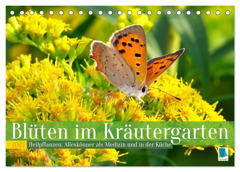 Blüten im Kräutergarten (Tischkalender 2027 DIN A5 quer) CALVENDO Monatskalender