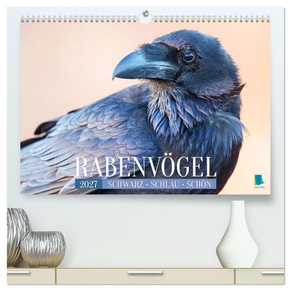 Rabenvögel: Schwarz schlau schön (hochwertiger Premium Wandkalender 2027 DIN A2 quer) Kunstdruck in Hochglanz