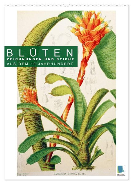 Blüten: Zeichnungen und Stiche aus dem 19. Jahrhundert (Wandkalender 2027 DIN A2 hoch) CALVENDO Monatskalender