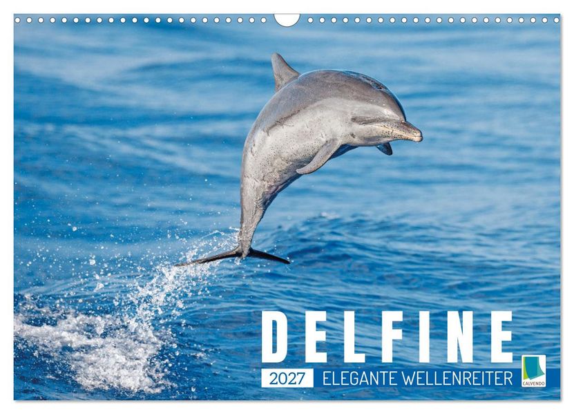 Delfine: Elegante Wellenreiter (Wandkalender 2027 DIN A3 quer) CALVENDO Monatskalender