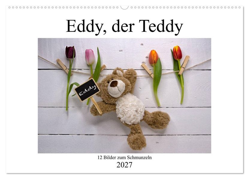 Eddy der Teddy - 12 Bilder zum Schmunzeln (Wandkalender 2027 DIN A2 quer) CALVENDO Monatskalender