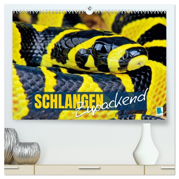 Schlangen: Zupackend (hochwertiger Premium Wandkalender 2027 DIN A2 quer) Kunstdruck in Hochglanz