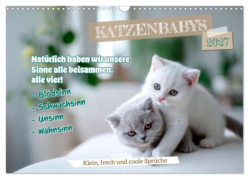 Katzenbabys - Klein frech und coole Sprüche (Wandkalender 2027 DIN A3 quer) CALVENDO Monatskalender