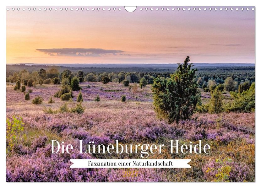 Die Lüneburger Heide - Faszination einer Naturlandschaft (Wandkalender 2027 DIN A3 quer) CALVENDO Monatskalender