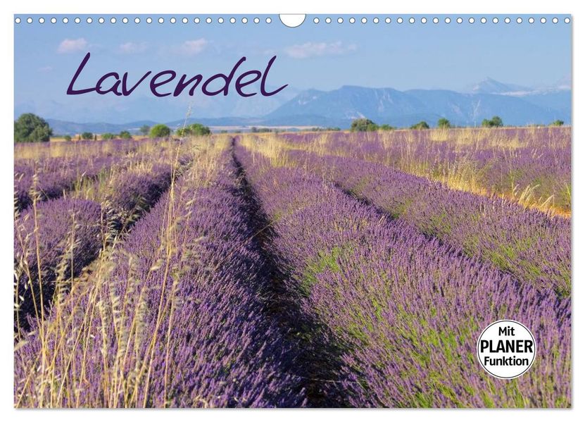 Lavendel (Wandkalender 2027 DIN A3 quer) CALVENDO Monatskalender