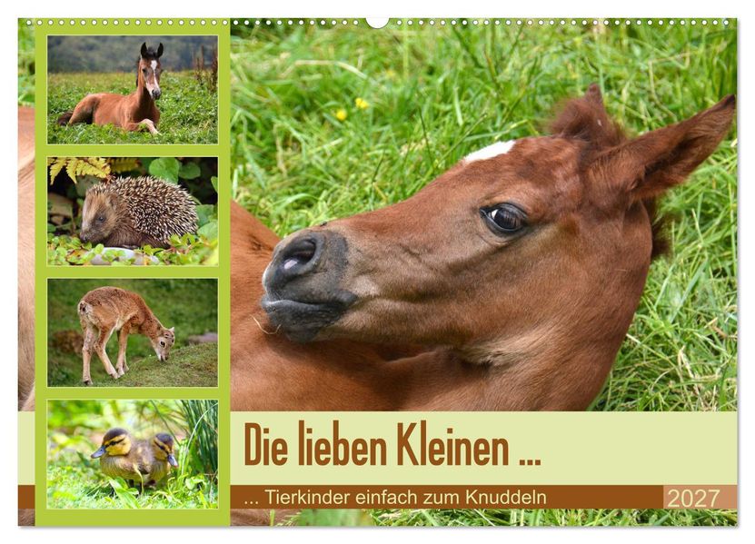 Die lieben Kleinen... Tierkinder einfach zum Knuddeln (Wandkalender 2027 DIN A2 quer) CALVENDO Monatskalender