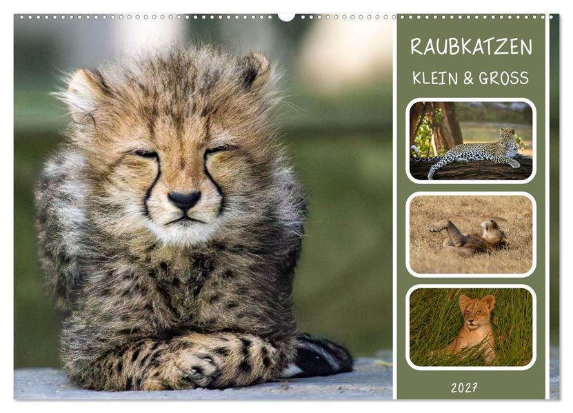 Raubkatzen - groß & klein (Wandkalender 2027 DIN A2 quer) CALVENDO Monatskalender