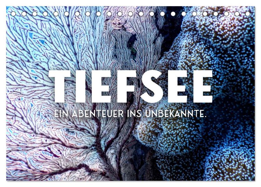 Tiefsee - Ein Abenteuer ins Unbekannte. (Tischkalender 2027 DIN A5 quer) CALVENDO Monatskalender