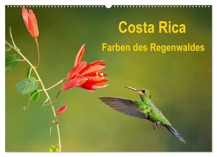 Costa Rica - Farben des Regenwaldes (Wandkalender 2027 DIN A2 quer) CALVENDO Monatskalender