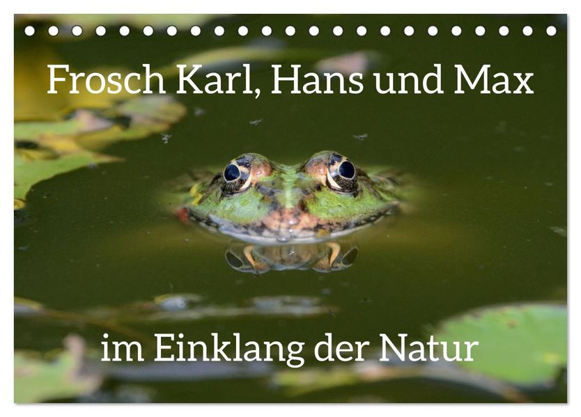 Frosch Karl Hans und Max im Einklang der Natur (Tischkalender 2027 DIN A5 quer) CALVENDO Monatskalender
