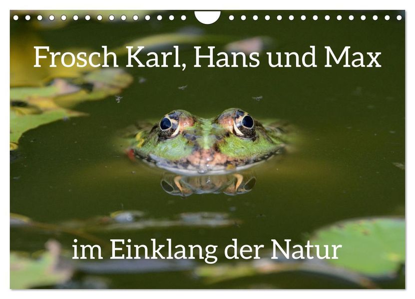 Frosch Karl Hans und Max im Einklang der Natur (Wandkalender 2027 DIN A4 quer) CALVENDO Monatskalender