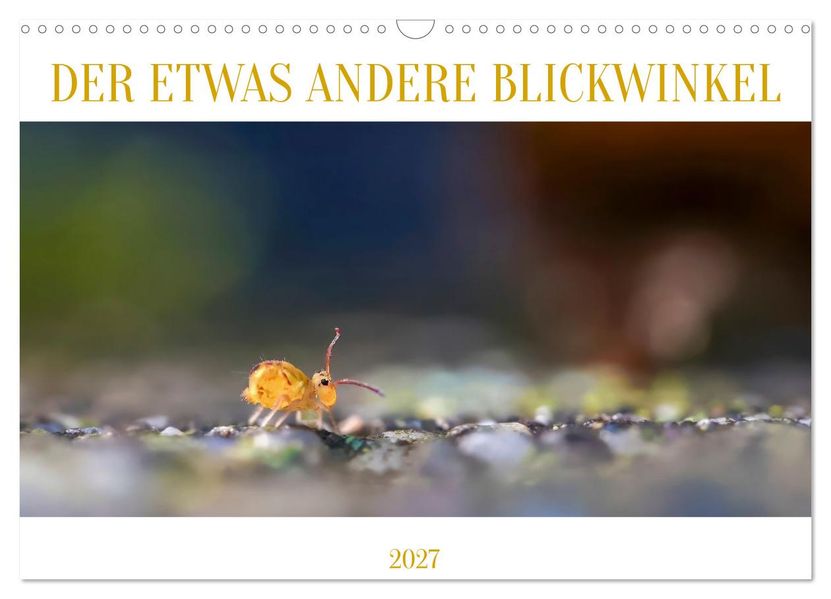 Der etwas andere Blickwinkel (Wandkalender 2027 DIN A3 quer) CALVENDO Monatskalender