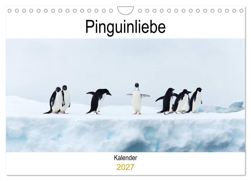 Pinguinliebe (Wandkalender 2027 DIN A4 quer) CALVENDO Monatskalender