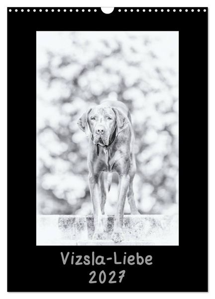 Vizsla-Liebe (Wandkalender 2027 DIN A3 hoch) CALVENDO Monatskalender