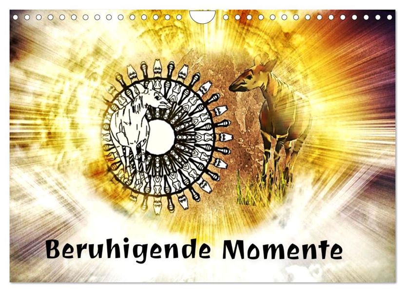 Mandalas 2027 - Beruhigende Momente (Wandkalender 2027 DIN A4 quer) CALVENDO Monatskalender