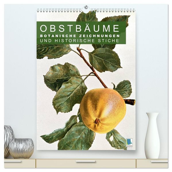 Obstbäume: Botanische Zeichnungen und historische Stiche (hochwertiger Premium Wandkalender 2027 DIN A2 hoch) Kunstdruck in Hochglanz