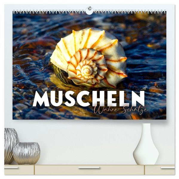Muscheln - Wahre Schätze (hochwertiger Premium Wandkalender 2027 DIN A2 quer) Kunstdruck in Hochglanz