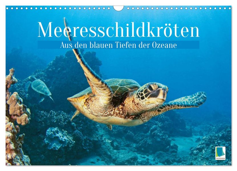 Meeresschildkröten: Aus den blauen Tiefen der Ozeane (Wandkalender 2027 DIN A3 quer) CALVENDO Monatskalender