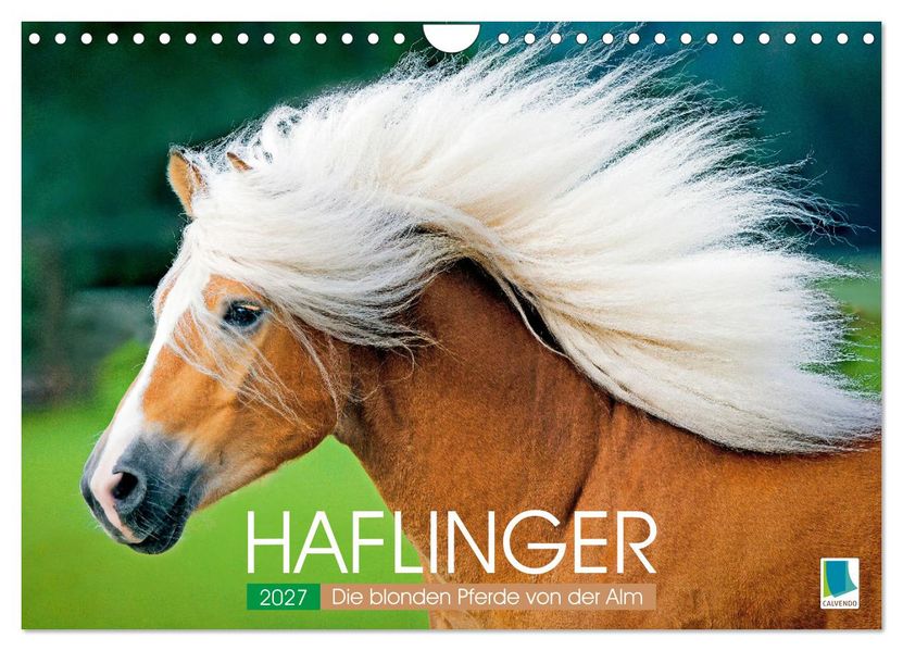Haflinger: Die blonden Pferde von der Alm (Wandkalender 2027 DIN A4 quer) CALVENDO Monatskalender